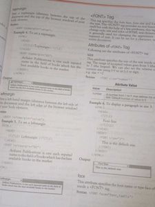 All in One Computer Applications Class 10
