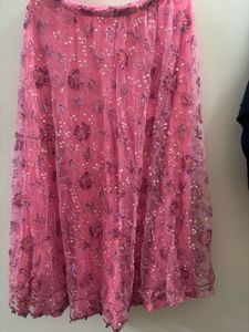 Pink Embroidered and wire work Skirt