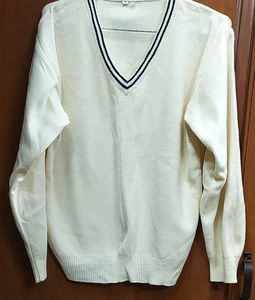 Classic V-Neck Sweater