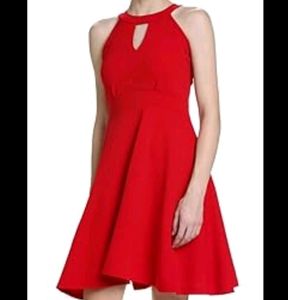 Addyvero Skater Dress