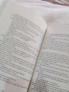 The Stopover by T.L. Swan