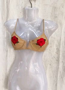 489. Sexy nude bra