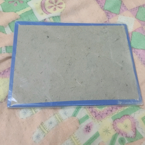 photo frame of neem karori baba