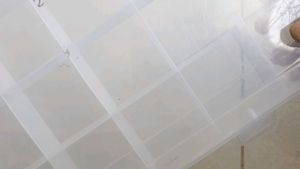 Clear Compartment Organizer Box