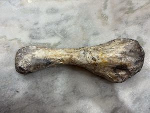 gothic decor bone element