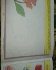 🔰New🎀Drawing And🎁 Craft Book
