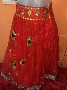 Stunning Red Embellished Skirt