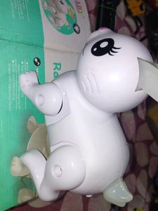 Rabbit