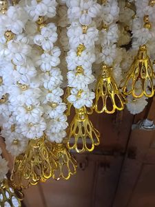 Jali Bell Strings