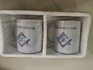 Set of 2 BIVOCALBIRDS Mugs