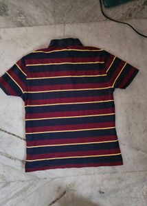 Polo Ralph Lauren Striped
