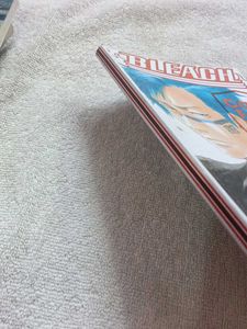 Bleach: Can't Fear Your Own World I