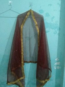 Elegant Dupatta with Gold Border