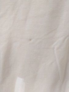 White T Shirt