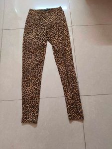 Leopard Print Leggings