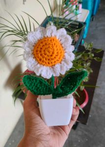Crochet Daisy Flower pot