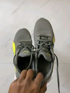 Puma unisex Grey Mesh Running Shoes