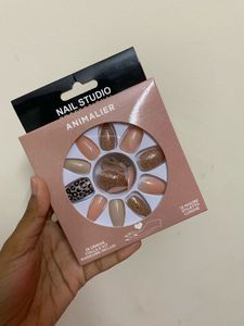 Animalier Nail Studio False Nails
