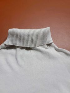 Stylish Turtleneck Sweater