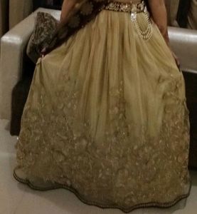 Lehenga With Heavy Blouse