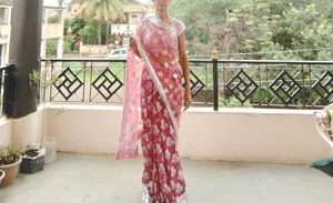 Partywear / Half Net / Pink Sare