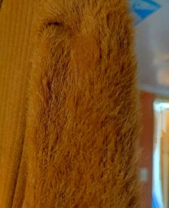 Woolen Brownish Mustard Maxi Dress