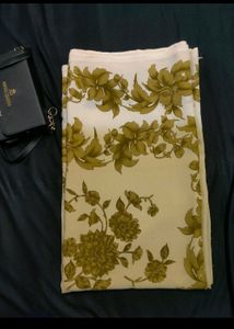 Beautiful Lightweight Saree