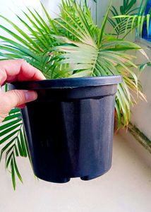 5 Black Nursery Planters
