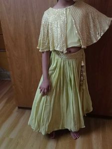 Lehenga Choli (Party Wear)