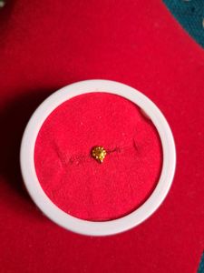 Exquisite Gold nosepin