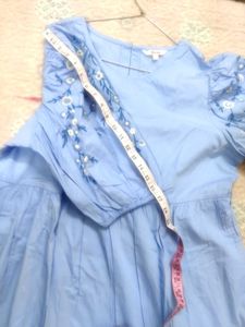 Blue Embroidered Sleeve Dress
