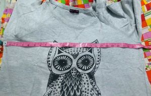 Owl Sweatshirt Grey Colour