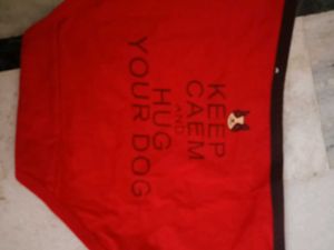 Red Briefs with Dog &amp; Text Print