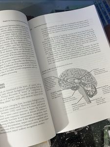Cognitive Psychology 4th Edition Book