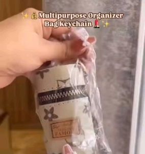 Multipurpose Organizer Bag Keychain
