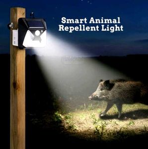 Solar Powered Animal Repellent Light (RH)