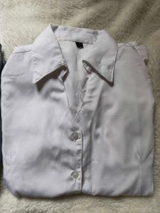 Classic Collared Button-Up Shirts