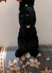 Cute Black Dog Plush Toy