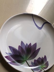 Floral Design Dinner Plates Set