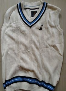 Men's V-Neck Sleeveless Knit Sweater Vest