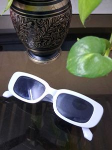 Chic White Frame Sunglasses