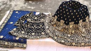 Elegant Hand  Embroidered Lehenga Choli Set