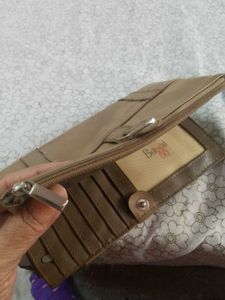 Baggit clutch