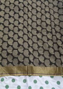 Paisley Print Saree with Gold Border