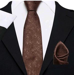 Elegant Paisley Tie & Pocket Square Set