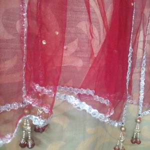 Elegant Red Net Dupatta Scarf