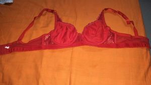 Elegant Red Lace Bra
