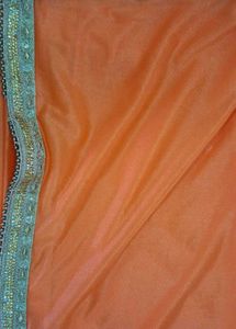 Sparkling Orange Saree with Golden Border ✨