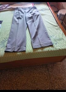 Selling Rayon Fabric Grey Pant For Men In ₹200