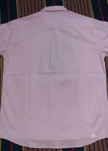 Zack Ford Pink Shirt